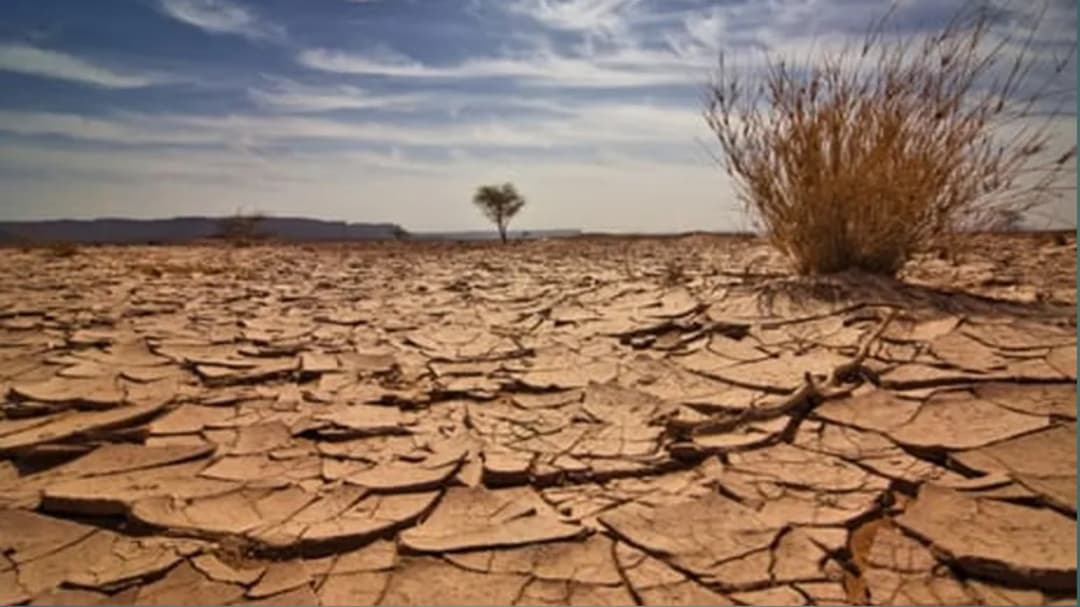  8 Places on Earth Where Rain Is Almost Nonexistent and Why They Stay Dry