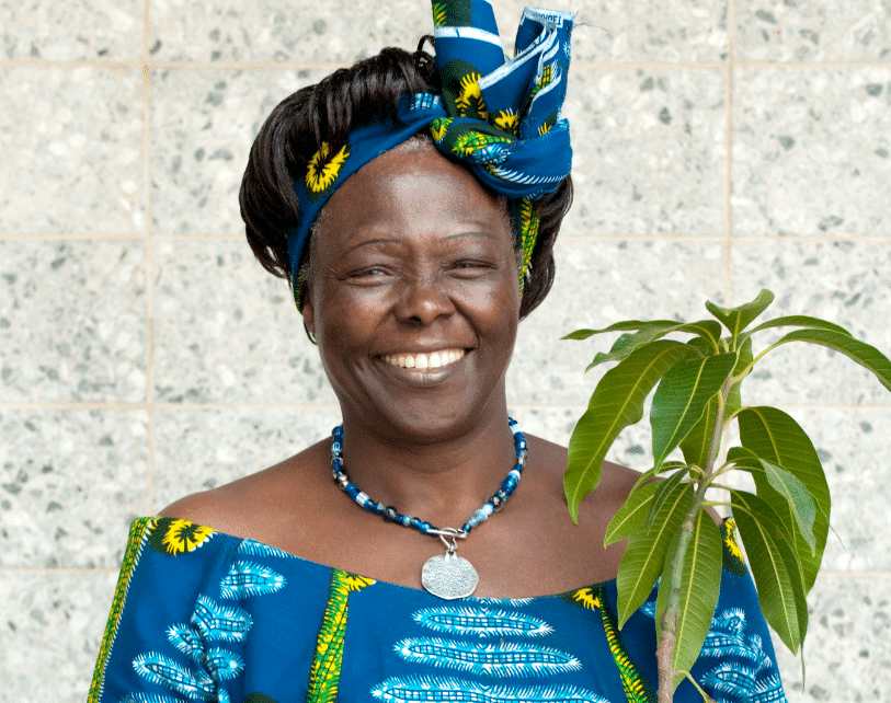 Afro Trailblazers Series(Part 14): Wangari Mathai, First African Female Nobel Peace Winner