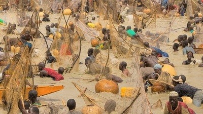 Argungu Fishing Festival 2026: The Grand Return of Nigeria's Most Iconic Cultural Spectacle