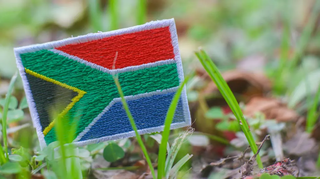 Mass Exodus Reversal: Why South Africans Are Returning Home