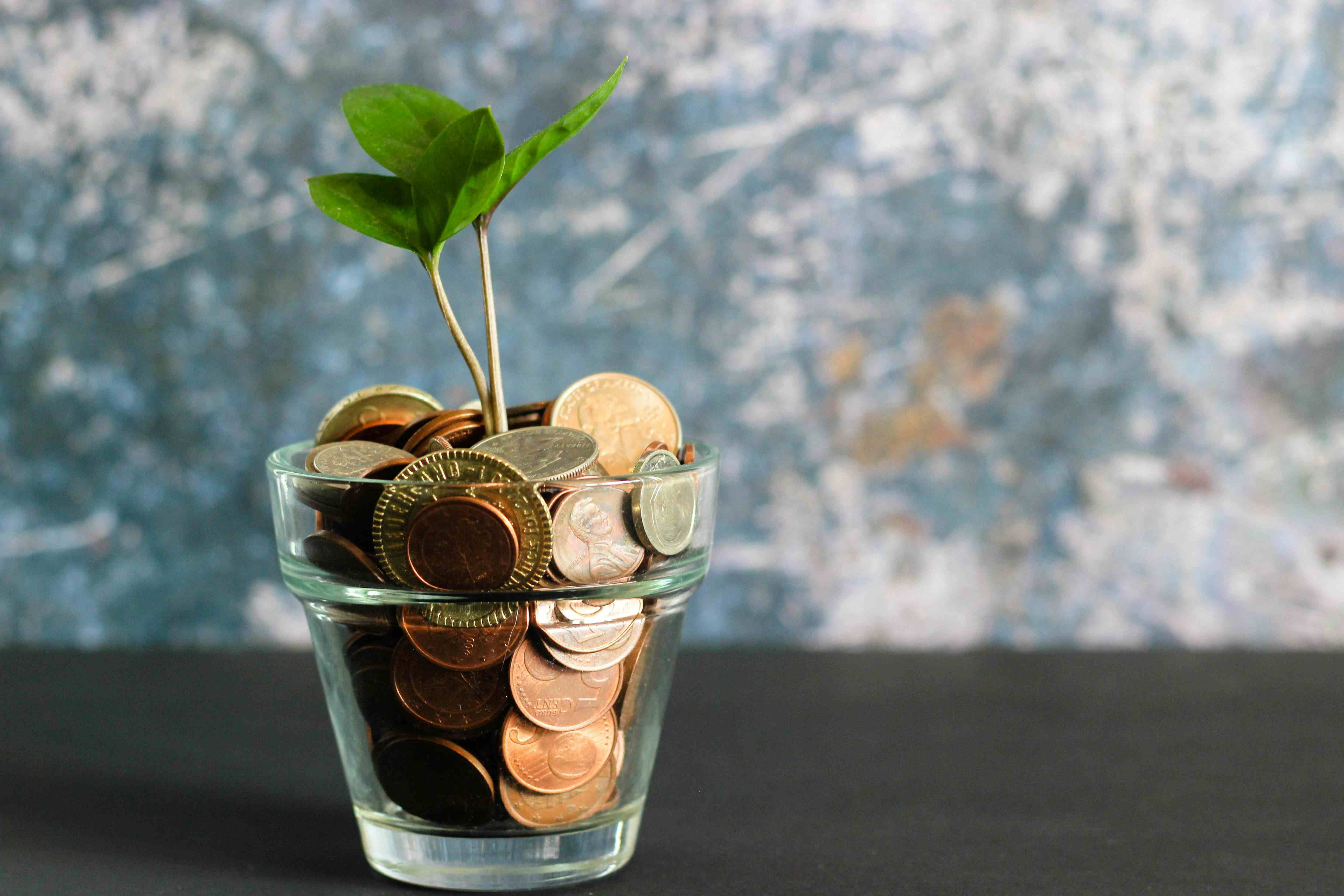 SACCOs: The Modern Revival of Africa’s Age-Old Culture of Collective Savings