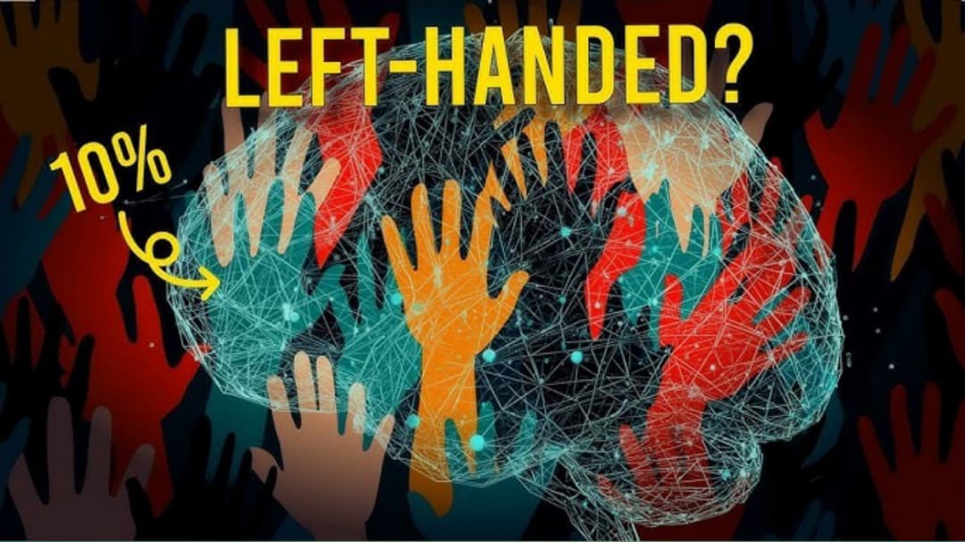 Why Are People Left-Handed? Genetics, Brain, and the 10% That Stand Out