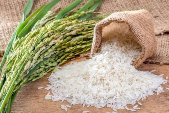 Africa’s Rice Revolution: Building Food Sovereignty Through Innovation