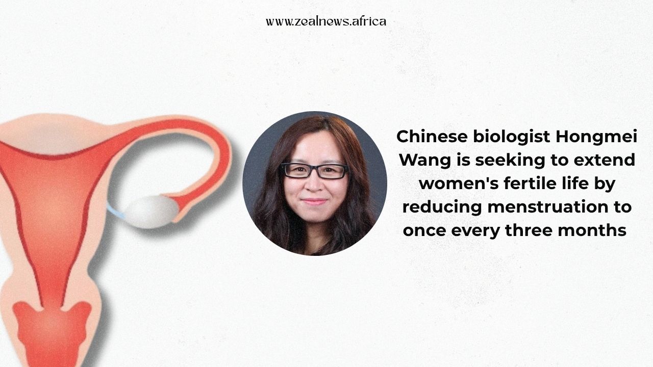 Rewriting the Female Biological Clock: A Chinese Biologist's Thinks Women Should Only Have Four Periods A Year Aiding Longer Fertility 