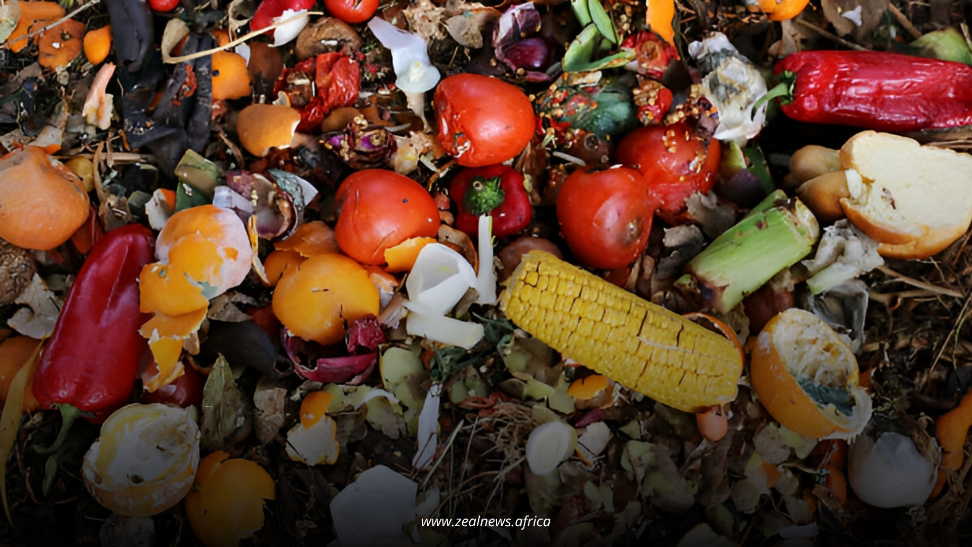 A Country That Wastes 38 Million Tonnes of Food Should Not Be Hungry