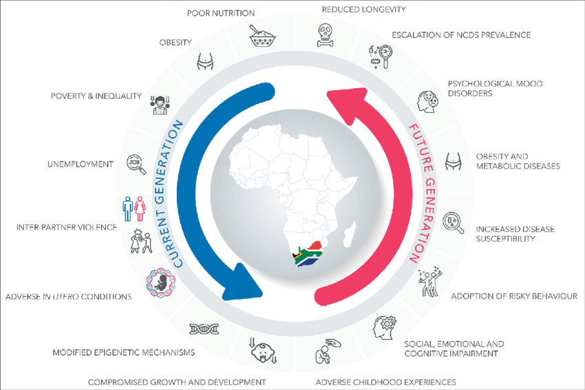 Africa's Silent Killer: Unmasking the Looming Non-Communicable Disease Crisis