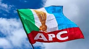 Allegations Trail APC House of Representatives Primary in Bauchi