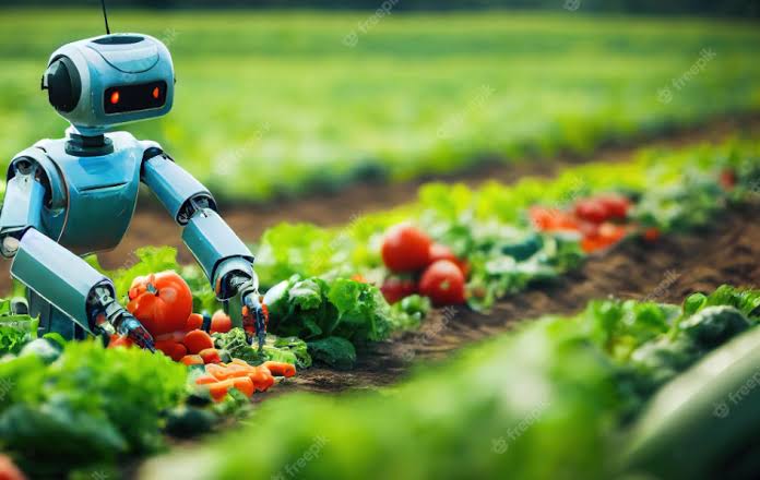 From AI to Agriculture: How Tech Startups Are Revolutionizing Food Security in Africa