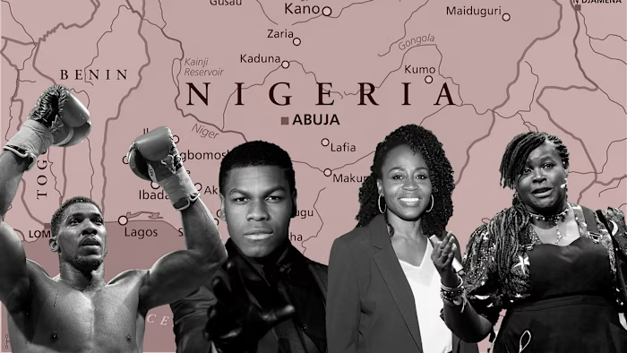 Nigerians In The Diaspora Who Made Great Waves In 2025
