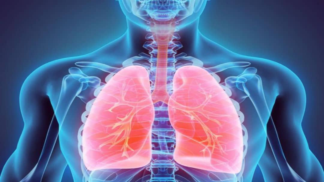 Can Someone Who Has Never Drank Alcohol Get Liver Cancer?