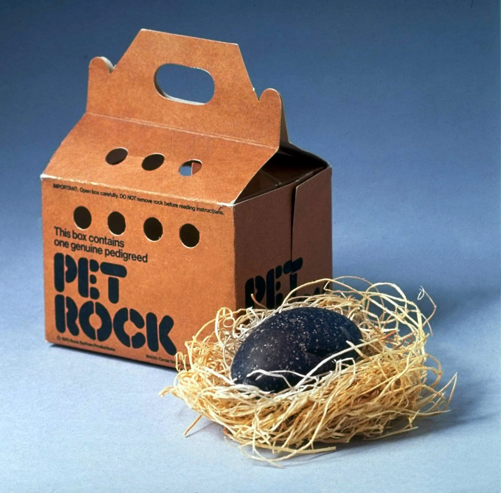 The Pet Rock: How a Simple Stone Was Bought by Millions