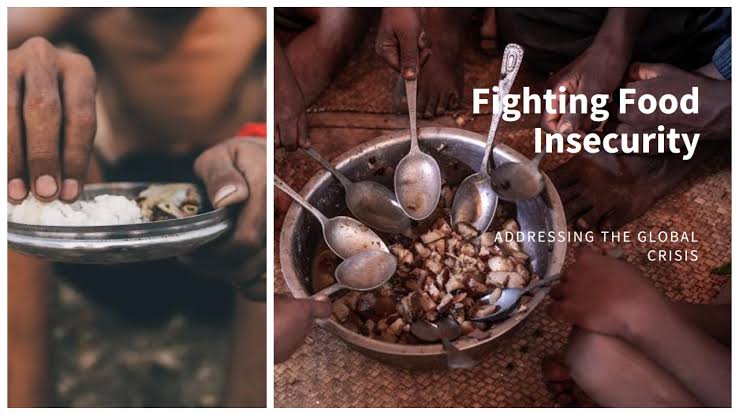 Africa’s Food Crisis: How Climate Shocks and Global Politics Threaten the Continent’s Plate