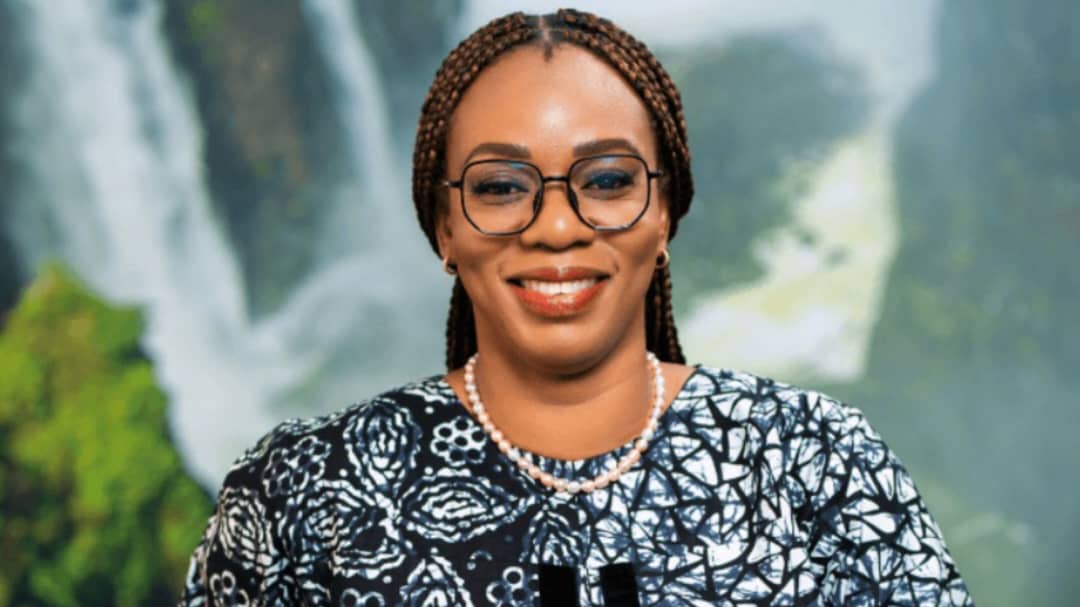 Who Is Kemi Omotosho, the Executive Set to Lead MultiChoice Nigeria After John Ugbe?
