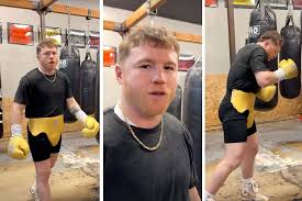 Canelo Álvarez Shocks Boxing World by Enrolling in University