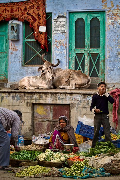 The Global South Doesn’t Need a Savior: It Needs Equity
