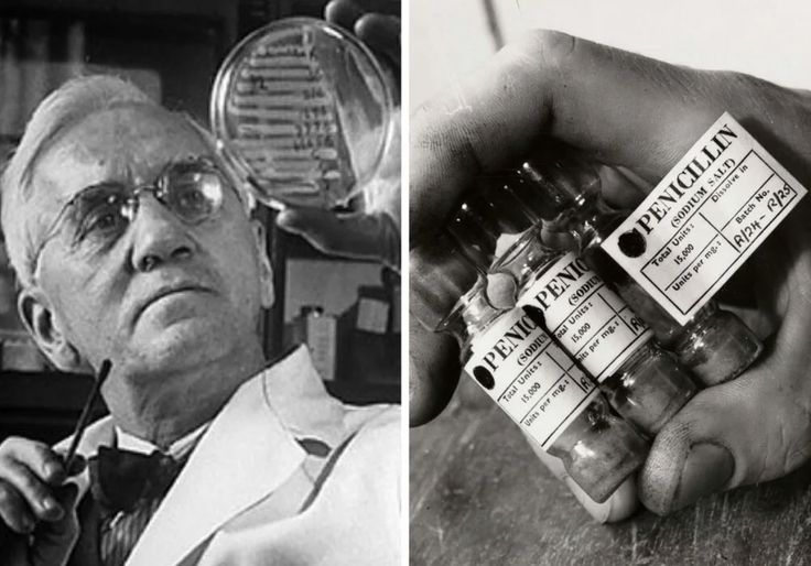 The Rotten Mold That Saved Millions: How Alexander Fleming’s