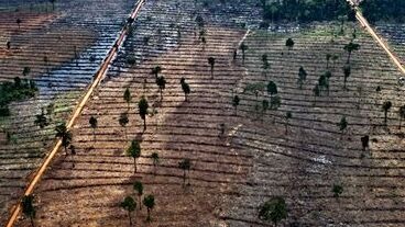 The Climate Dilemma: Can Nigeria and South Africa Afford to Keep Their Green Pledges?