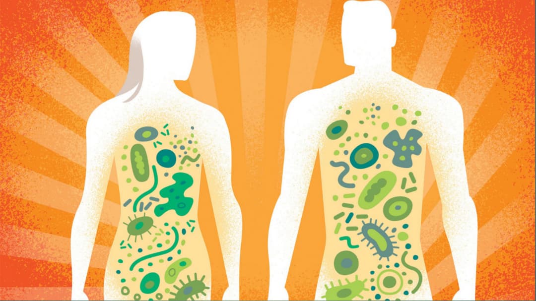 The Role of Microbiome Health in Everyday Diet Choices