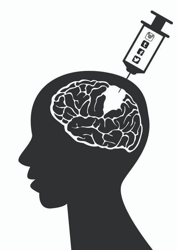 The Mind Forgers: Is Social Media Building Echo Chambers That Break Our Reality?