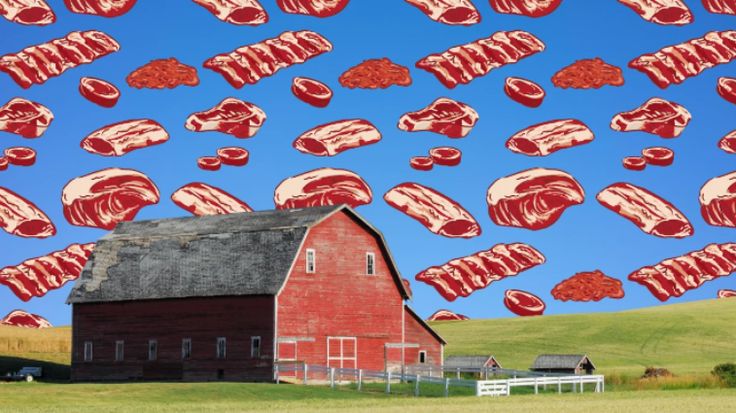 When Meat Fell From the Sky: The Bizarre Story of the Kentucky Meat Shower of 1876