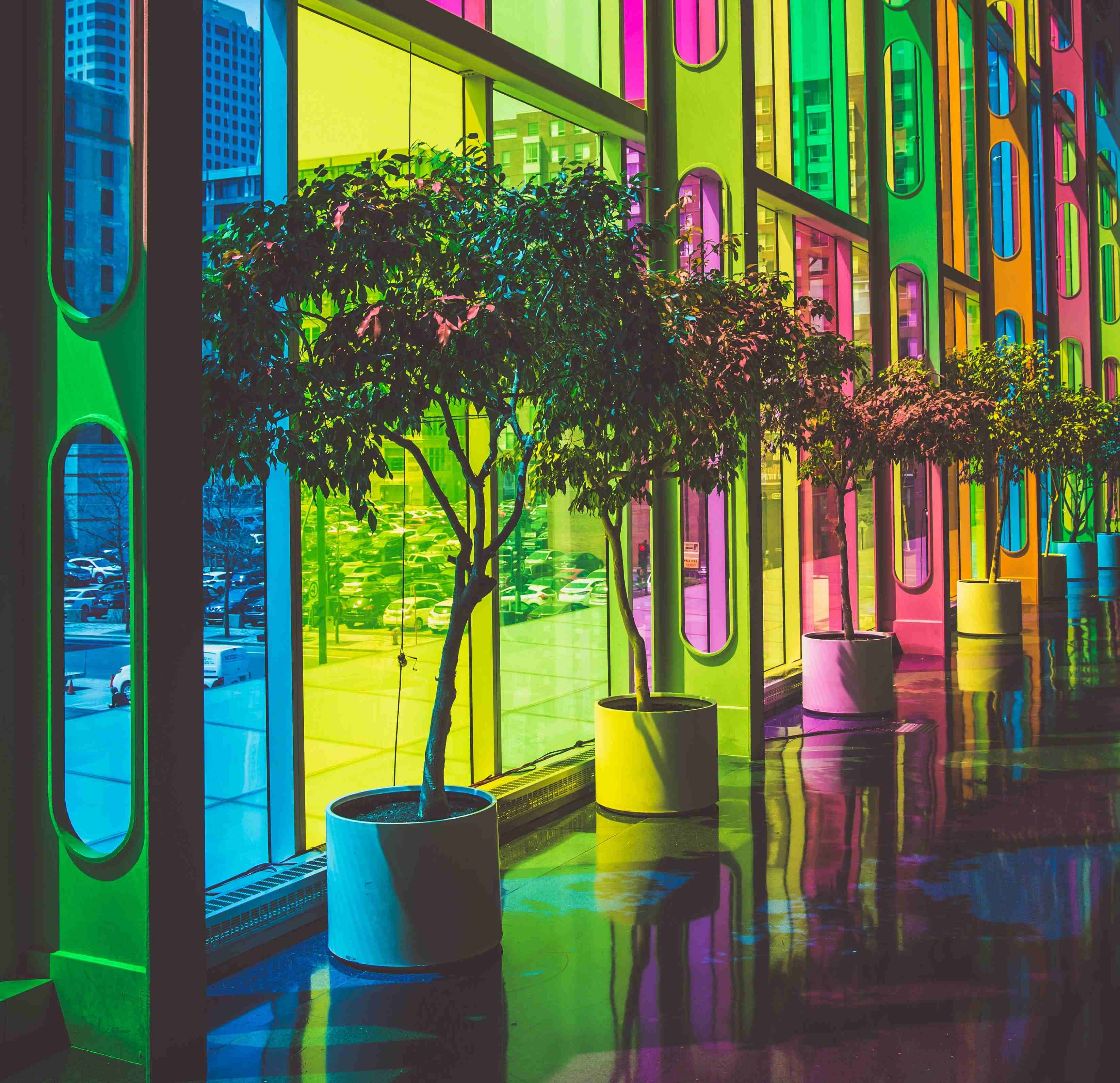 The Surprising Mental Health Effect of Some Colors