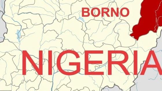 Deadly Windstorm in Borno State Leaves Destruction and Homelessness 