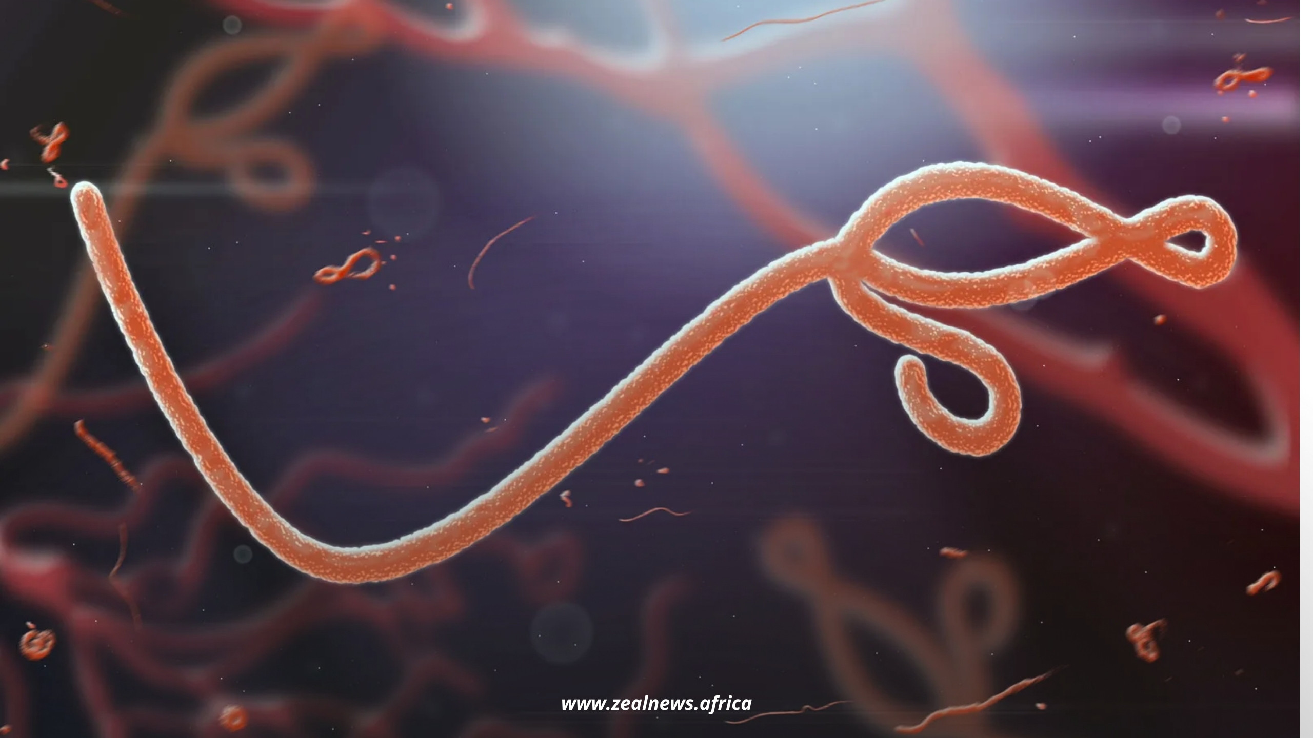 A New Ebola Strain Has Triggered a Global Emergency, And Experts Say the World Is Not Ready
