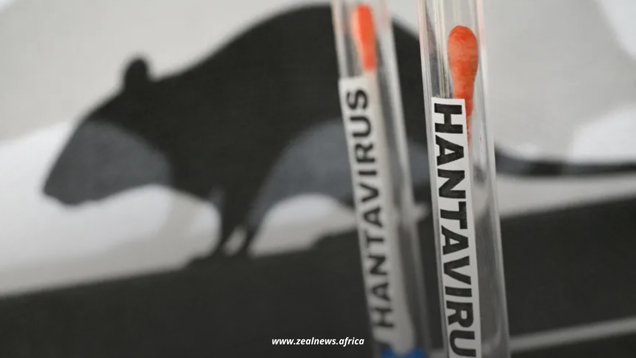 Another COVID-19? What the Hantavirus Scare Reveals About a Post-Pandemic World