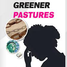 The Racial Divide: Africans Abroad and the Illusion of Greener Pastures