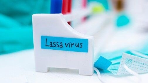 Lassa Fever Is Back: 5 Simple Steps to Reduce Your Risk