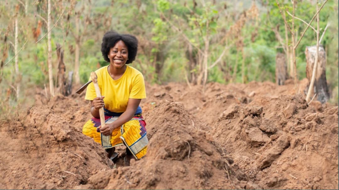 Sustainable Agriculture Practices That Protect African Lands