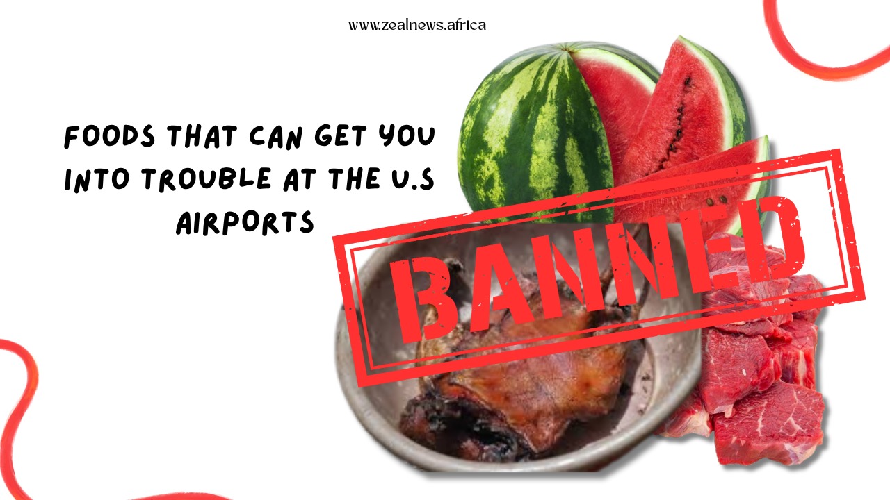 10 Items You Cannot Bring Into the United States