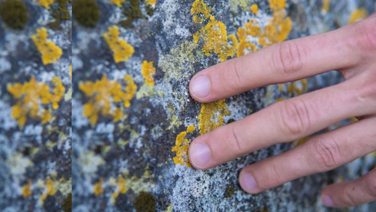 You Might Have Tactile Sensitivity And You Don’t Know