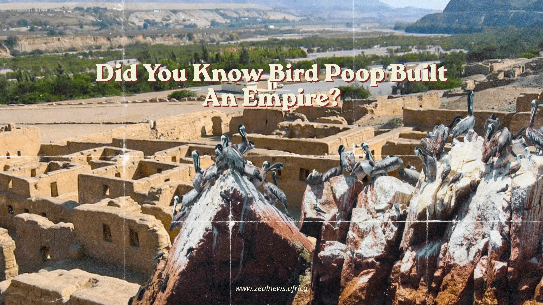 Bird Poop Built an Empire — The Wildest Science Story You Haven't Heard